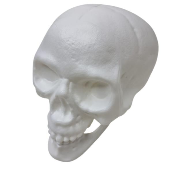 Imagem de Kit 2 Cranio Caveira Esqueleto Decorativo Plastico Halloween