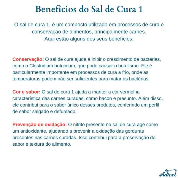 Kit 2 Cura Frescal (Sal de Cura 1) Adicel - 1kg Cada - Adicel Ingredientes Imagem de Kit 2 Cura Frescal (Sal de Cura 1) Adicel - 1kg Cada