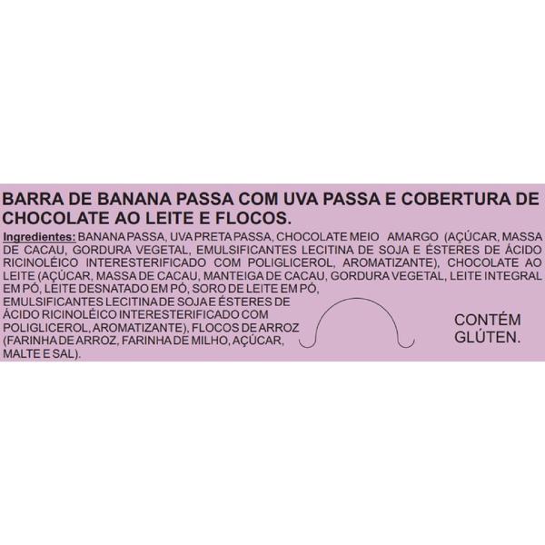 Imagem de Kit 2 Cx Barra de Fruta Banana Com Chocolate Meio Amargo Uva Passa Flocos 20x27g