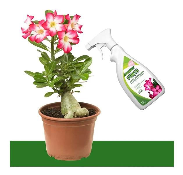 Imagem de Kit 2 Fertilizante Jardim Rosa Deserto 500ml Orgânico Forth