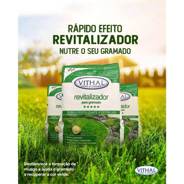 Imagem de Kit 2 Fertilizante Revitalizador Para Gramados Vithal 1kg