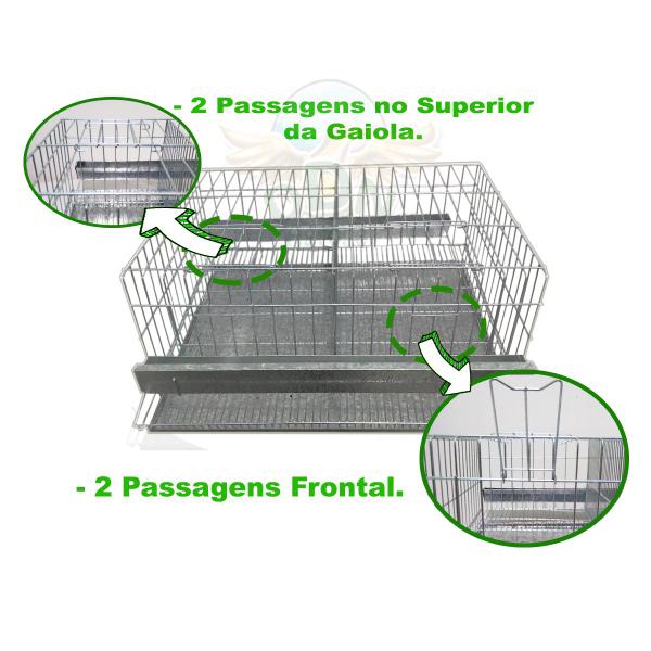 Imagem de Kit 2 Gaiola Codorna Viveiro Bateria 40 Aves Japonesa Completa