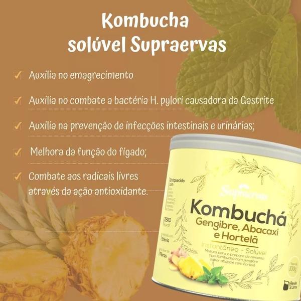 Imagem de Kit 2 Kombuchá em pó solúvel Chá Verde Fermentado Sabor Hibisco e Gengibre 400gr Supraervas 