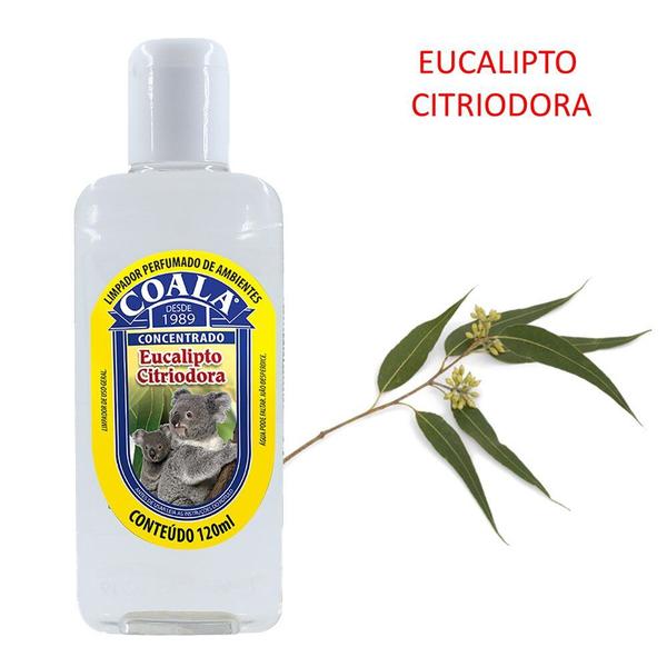 Imagem de Kit 2 Limpador Concentrado Perfumado de Ambientes Eucalipto Citriodora Coala 120ml