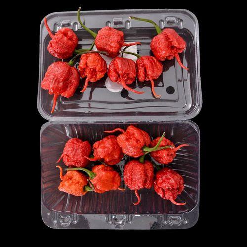 Imagem de Kit 2 Molhos De Pimenta Carolina Reaper Sem Glúten Mais Ardi