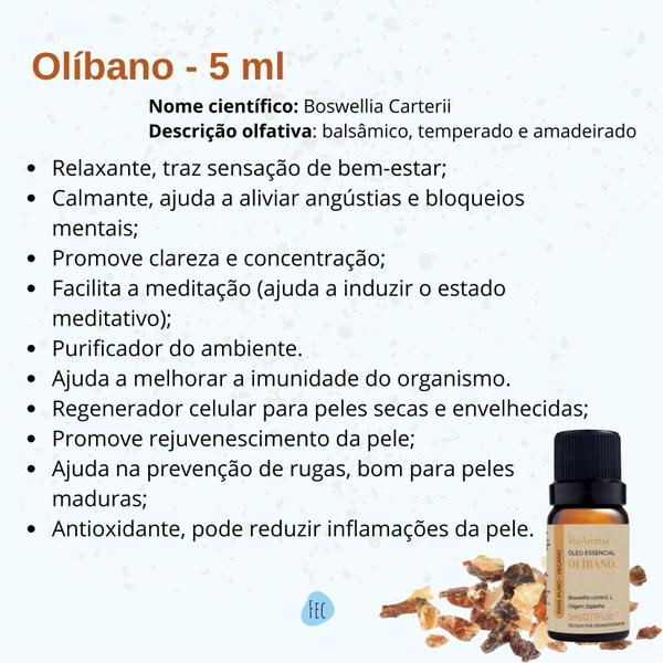 Imagem de Kit 2 Óleo Essencial Puro Gerânio e Olibano Via Aroma