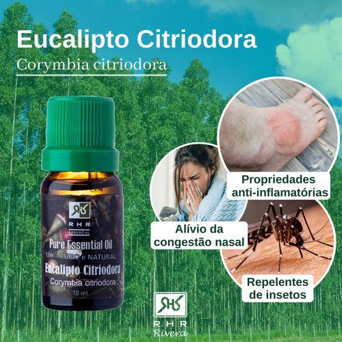 Imagem de Kit 2 Óleos Essenciais De Eucalipto Citriodora 10ml