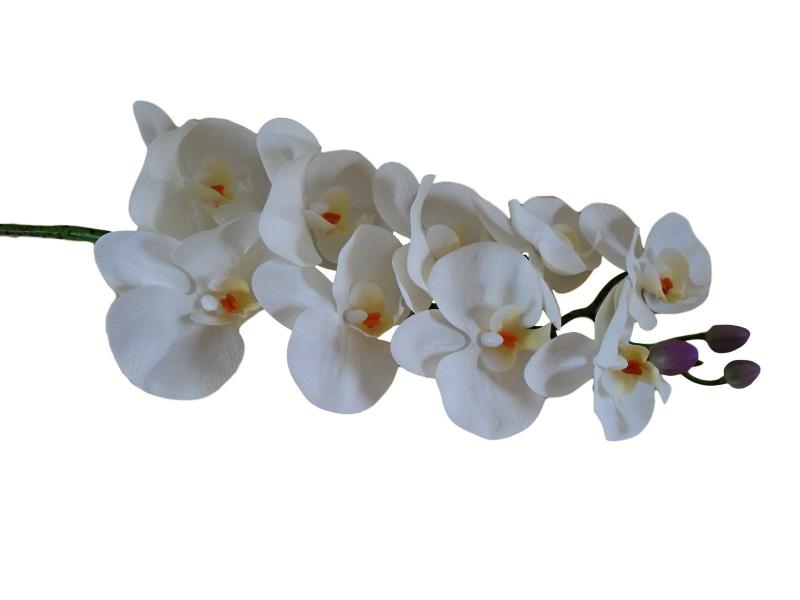 Imagem de Kit 2 Orquídeas artificiais silicone cores variadas