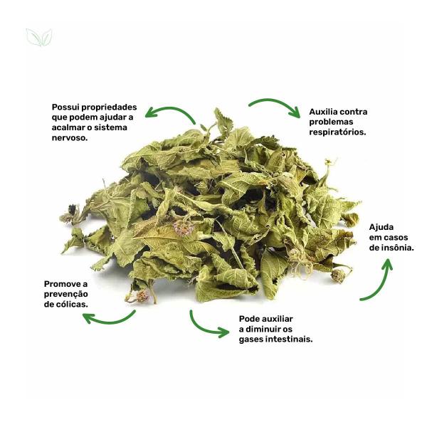 Imagem de Kit 2 pct Chá de Melissa Officinalis -Melissa officinalis L