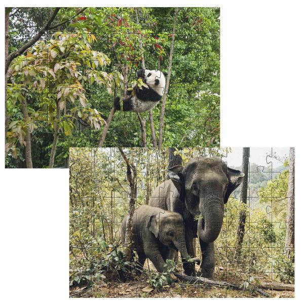 Imagem de Kit 2 Quebra-cabeças Atividades para Mente Animais da Floresta 24 peças