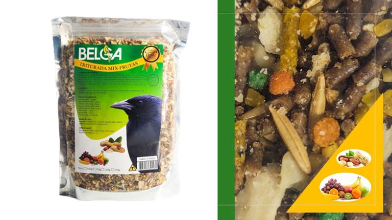 Imagem de Kit 2 Rações / Passarinho Pássaro Preto Sábia Melros Triturada Mix de Frutas Amendoim 500 g Belga