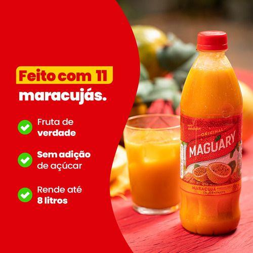 Imagem de Kit 2 Suco Concentrado De Maracujá Maguary 1 Litro