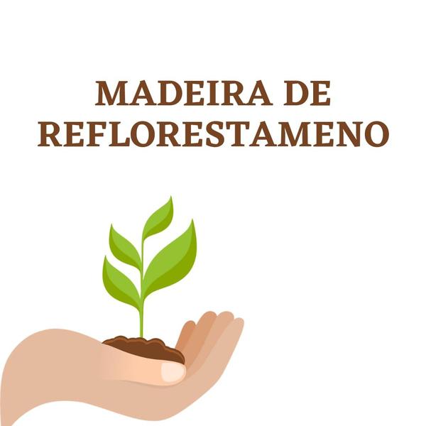 Imagem de Kit 2 Suportes Base Vaso Plantas Madeira Rodinhas 20cm.