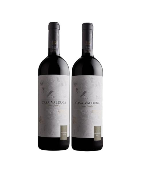 Imagem de Kit 2 Un Vinho Casa Valduga Terroir Exclusivo Arinarnoa 750 ml