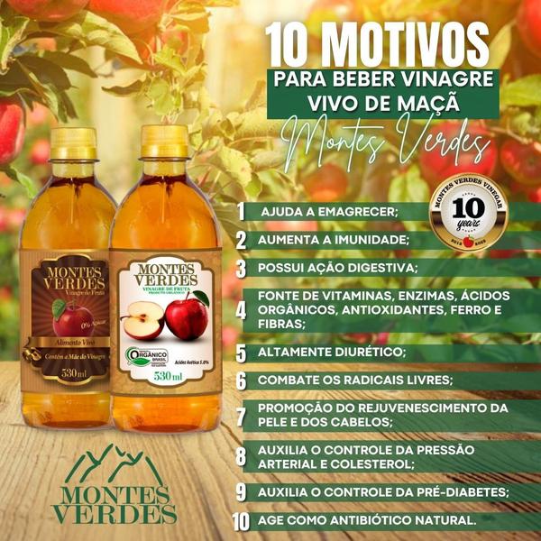 Imagem de Kit 2 Vinagre De Maça Orgânico 530ml