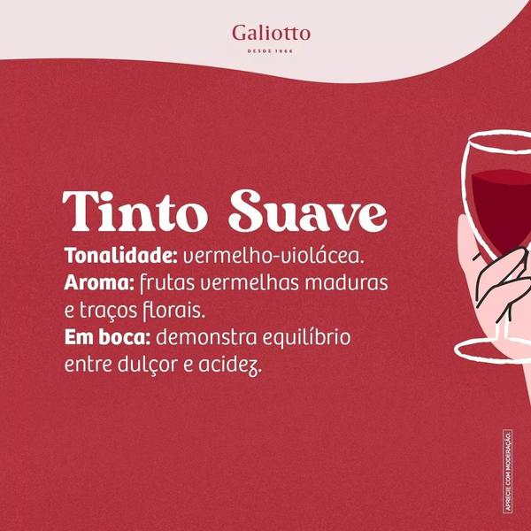 Imagem de Kit 2 Vinhos Tinto Suave Galiotto Serra Gaúcha 1 Litro