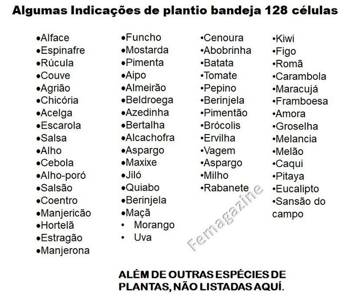 Imagem de Kit 20 Bandeja Sementeira Para Produção De Mudas 128 Células