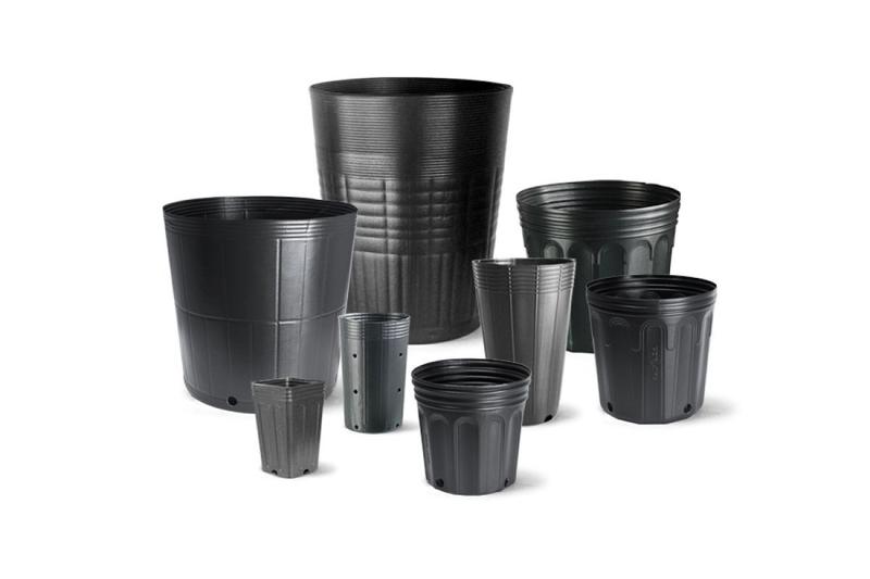 Imagem de Kit 20 Embalagem Vaso para Mudas Plástico 3,6L