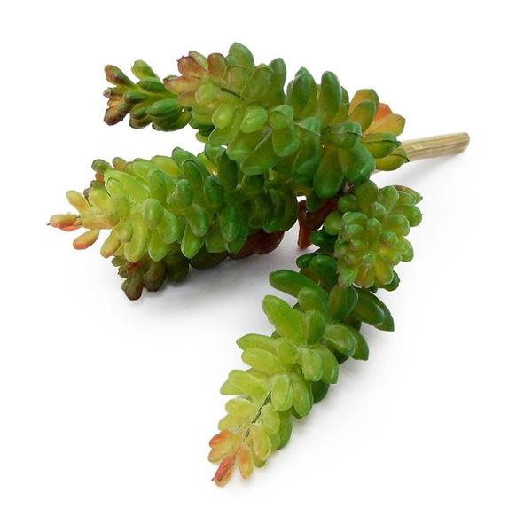 Kit 20 Suculentas Sedum Mini Folhagem Artificial Planta Artificial de Qualidade para Sala - DE8903 - Decora Flores Artficiais Imagem de Kit 20 Suculentas Sedum Mini Folhagem Artificial Planta Artificial de Qualidade para Sala - DE8903