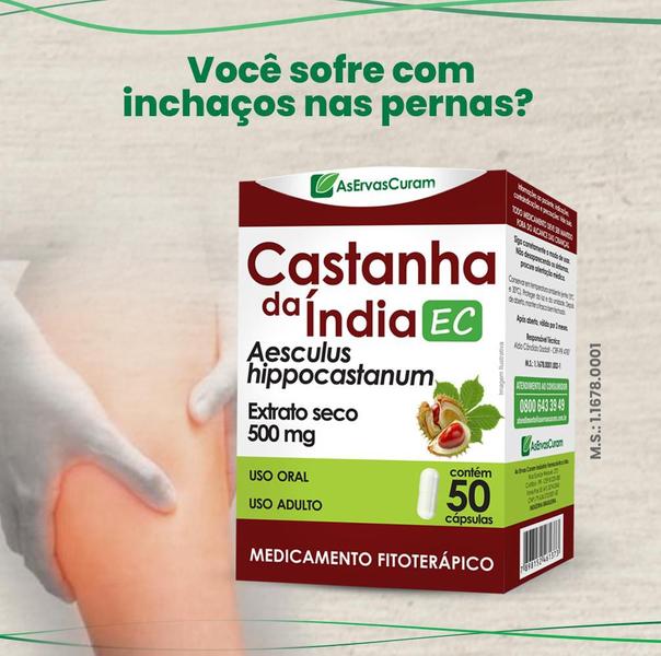 Imagem de Kit 24 Castanha da Índia EC Tintura 50Cps As Ervas Curam