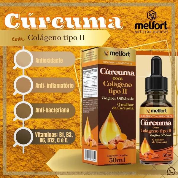 Imagem de Kit 2x Cúrcuma Com Colágeno Tipo 2 Melfort 30ml D