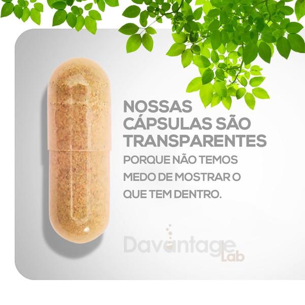 Imagem de Kit 2x Espinheira Santa Original em Capsulas Natural 500mg 