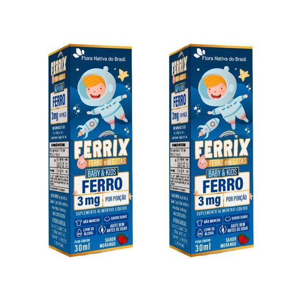 Imagem de Kit 2X Ferrix Ferro Infantil 30Ml Flora Nativa Sabor:Morango