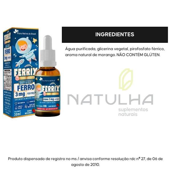 Kit 2X Ferrix Ferro Infantil 30Ml Flora Nativa Sabor:Morango Imagem de Kit 2X Ferrix Ferro Infantil 30Ml Flora Nativa Sabor:Morango