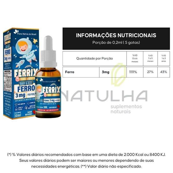 Kit 2X Ferrix Ferro Infantil 30Ml Flora Nativa Sabor:Morango Imagem de Kit 2X Ferrix Ferro Infantil 30Ml Flora Nativa Sabor:Morango