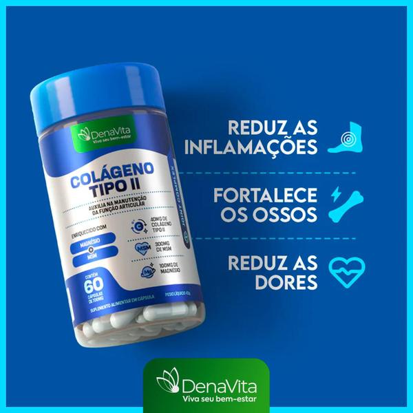 Imagem de Kit 2x Fracos Colágeno Tipo 2 + Msm + Magnésio, Collagen Uc2 - Denavita