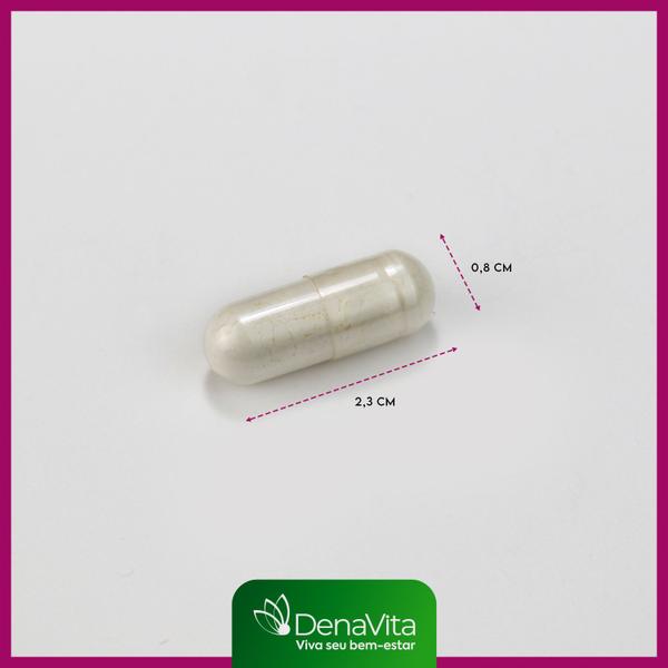 Imagem de Kit 2x Pote Trans Resveratrol + Vitamina C + Licopeno, 3x1 - Antioxidante - Denavita