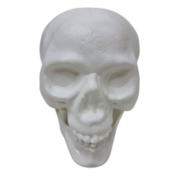 Imagem de Kit 3 Cranio Caveira Esqueleto Decorativo Plastico Halloween