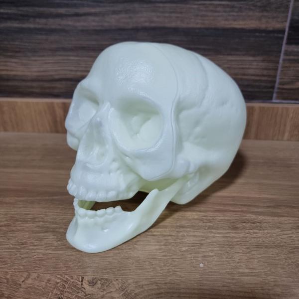 Imagem de Kit 3 Cranio Caveira Esqueleto Decorativo Plastico Halloween