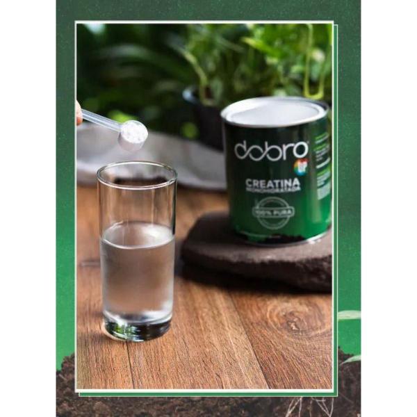 Kit 3 Creatina Monohidratada Up Dobro 300G Imagem de Kit 3 Creatina Monohidratada Up Dobro 300G