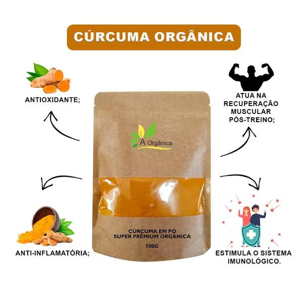 Imagem de Kit 3 Cúrcuma em pó Super Premium Orgânica 100g