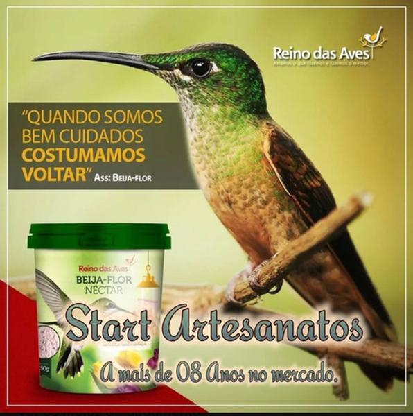 Kit 3 Em 1 Com 2 Bebedouro De Beija-flor Luxo + 1 Néctar - Start Artesanatos Imagem de Kit 3 Em 1 Com 2 Bebedouro De Beija-flor Luxo + 1 Néctar