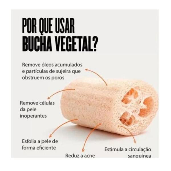 Imagem de Kit 3 Esponjas Bucha Vegetal Natural Para Banho Esfoliação