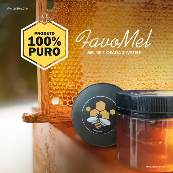 Kit 3 Favo de Mel Abelha Africana Puro 100% Natural na Caixa 540g - Potenza Imagem de Kit 3 Favo de Mel Abelha Africana Puro 100% Natural na Caixa 540g