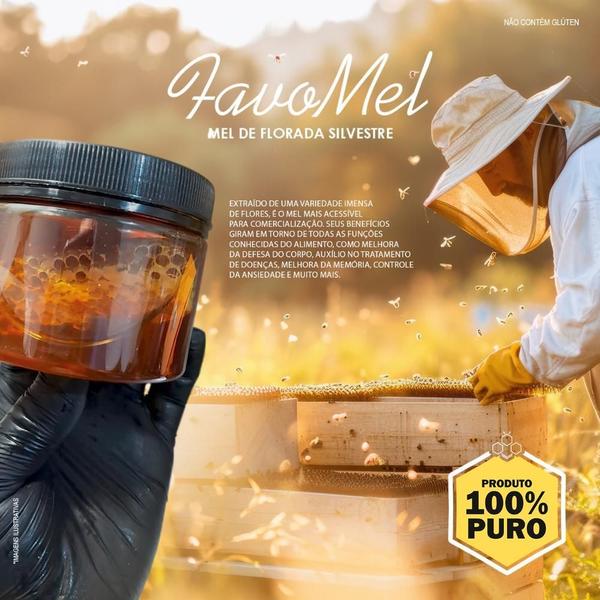 Kit 3 Favo de Mel Abelha Africana Puro 100% Natural na Caixa 540g - Potenza Imagem de Kit 3 Favo de Mel Abelha Africana Puro 100% Natural na Caixa 540g