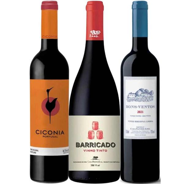 Imagem de Kit 3 Garrafas Vinhos Tintos de Portugal 750ml