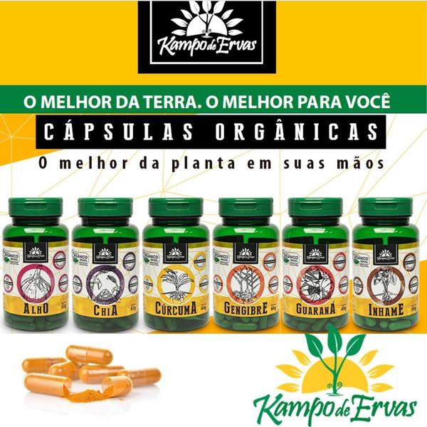 Imagem de Kit 3 Guaraná em pó Orgânico Kampo de ervas 3 und 90 cápsulas cada 450 mg