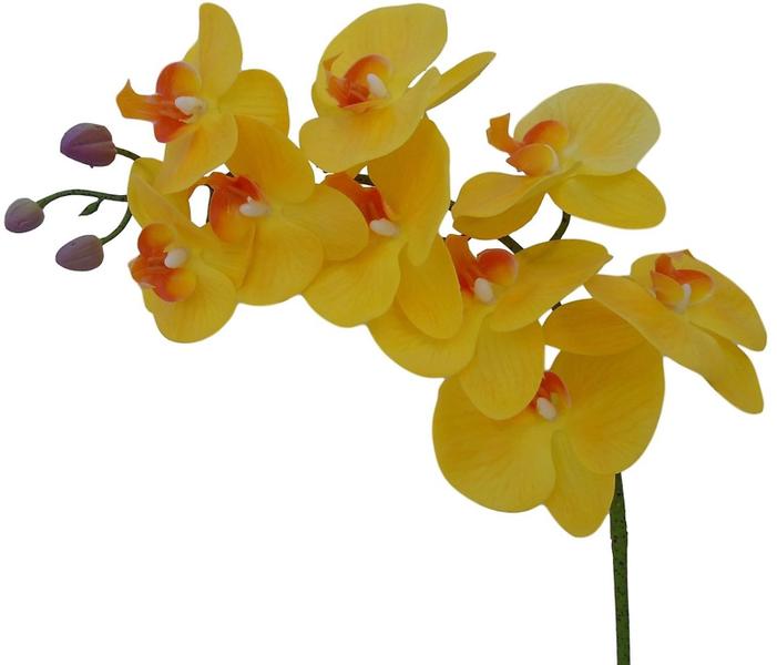 Imagem de Kit 3 hastes de Orquídeas amarelas artificiais em silicone