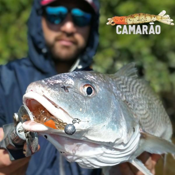 Imagem de Kit 3 Iscas Camarão Artificial 9cm - Pesca Robalo Tucunaré Corvina 