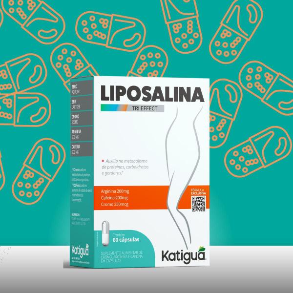 Imagem de Kit 3 Liposalina 500MG 60CAPS