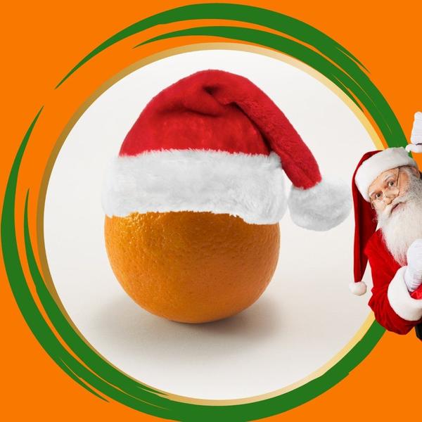 Kit 3 Mudas de Laranja Natal Enxertada - Gardencitrus Imagem de Kit 3 Mudas de Laranja Natal Enxertada