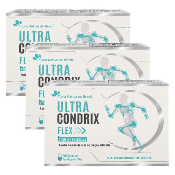 Kit 3 P Ultra Condrix Flex Msm, Vitamina K2, Colágeno Tipo II e Ácido Hialurônico - 60 Cápsulas Flora Nativa Imagem de Kit 3 P Ultra Condrix Flex Msm, Vitamina K2, Colágeno Tipo II e Ácido Hialurônico - 60 Cápsulas Flora Nativa