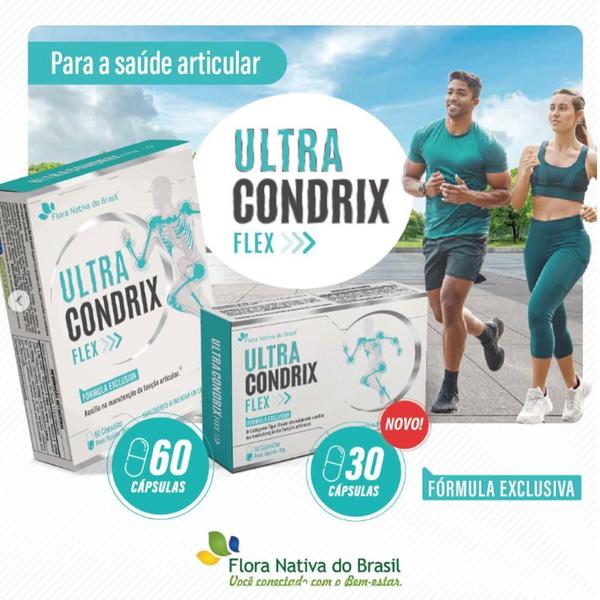 Kit 3 P Ultra Condrix Flex Msm, Vitamina K2, Colágeno Tipo II e Ácido Hialurônico - 60 Cápsulas Flora Nativa Imagem de Kit 3 P Ultra Condrix Flex Msm, Vitamina K2, Colágeno Tipo II e Ácido Hialurônico - 60 Cápsulas Flora Nativa