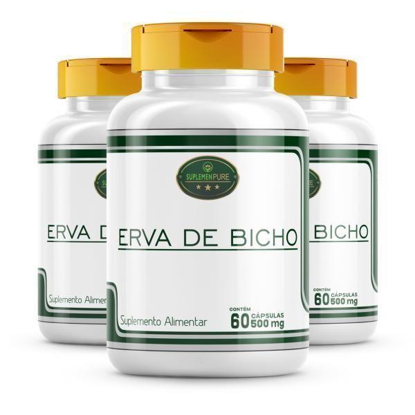 Imagem de Kit 3 Potes 500Mg Erva De Bicho 100% Natural