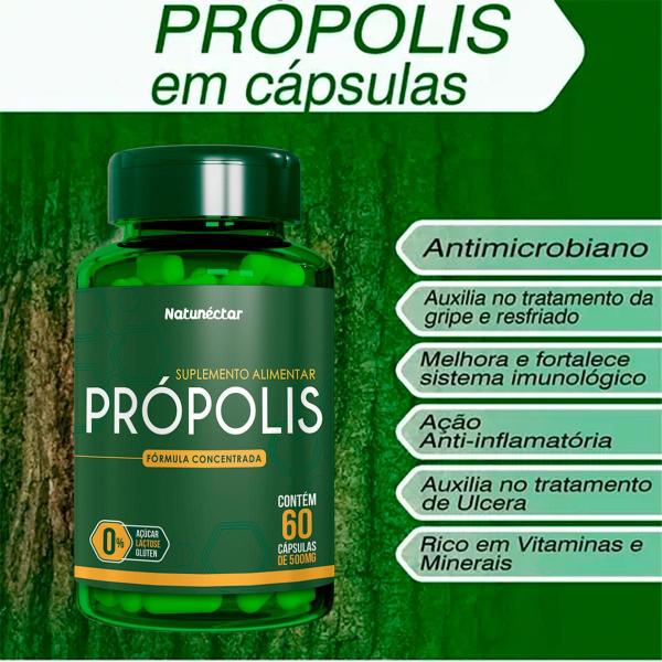 Imagem de Kit 3 Potes Própolis Suplemento Alimentar Natural Vitaminas Encapsulados Verde Seco Natunéctar 180 Capsulas