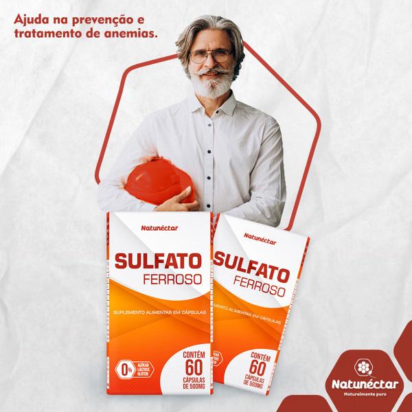 Imagem de Kit 3 Potes Sulfato Ferroso Suplemento Alimentar Natural Vitamina Ferro Original Natunectar Total 180 Capsulas